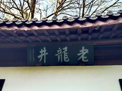 -阿巧茶庄
