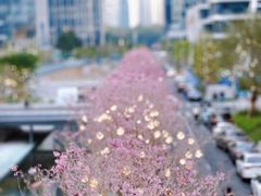 -深圳湾万象城(南山店)