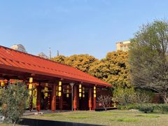 -南越王博物院(王宫展区)