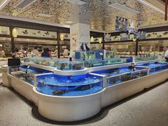 -渔人码头(中南店)