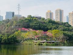 -重庆彩云湖湿地公园