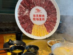 -手选潮汕鲜活牛肉火锅(二七广场店)