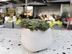 -gaga(深圳南山益田假日广场店)