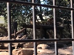 -费瑟代尔野生动物园