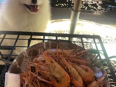 -DGE季风钓虾营地·团建·聚会