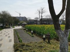 -田园东方蜜桃村的田野营地