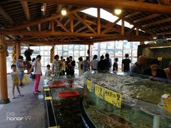 -顺德了能馆(虎门店)