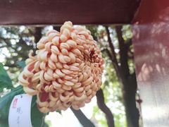 -中国翰园碑林