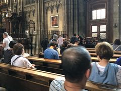-斯蒂芬主教座堂(Stephansdom)