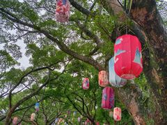 -江心屿景区