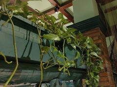 -海尔巴格一甸茶餐厅(团结路店)