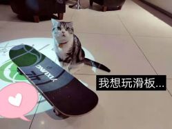 -卡尔诗·科技美肤连锁