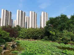 -龙头寺公园