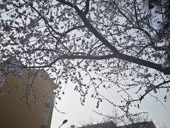 -京北大世界