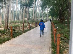-仁和公园(顺义区)