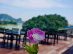 -忆咖啡观景餐厅(桂林象山公园店)
