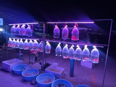 -中环花鸟鱼虫市场