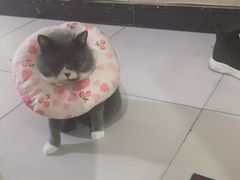 -乐宠动物医院