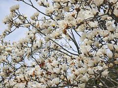 -好麺世家海鲜面馆(新建中路店)