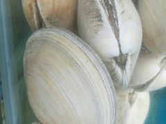 -雅逸居海鲜小厨