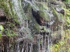 -碧峰峡风景区