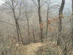 android_upload_pic-沣峪森林公园龙潭戏水景区