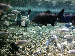 -成都浩海立方海洋公园