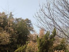 -南翠屏公园