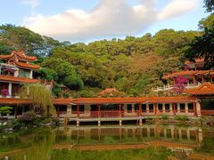-深圳仙湖植物园