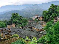 -杨家堂村