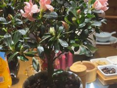 -耕渔小院·湖南鱼鲜(望城店)