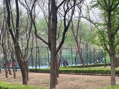 -朝阳公园游乐园