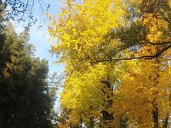 -望江楼公园
