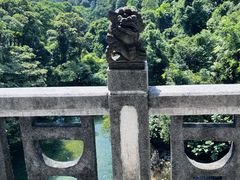 -鼎湖山风景区