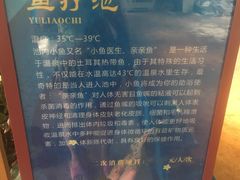 -悦隆庄温泉度假酒店