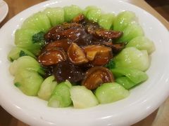 香菇菜心-台北楚楚园馅饼粥(虹桥南丰城店)