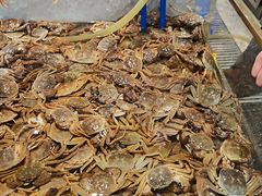 -半岛听涛蒸汽海鲜自助(K11店)