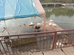 -王借岗森林公园