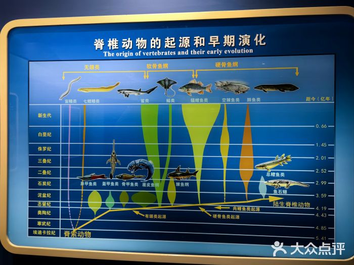 国家自然博物馆图片