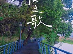 -月湖风景区