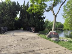 -共青国家森林公园-南大门停车场