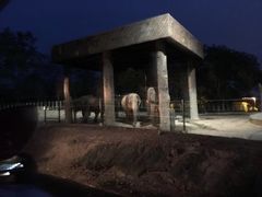 -清迈夜间动物园