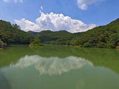 -广州白江湖森林公园