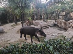 -上海野生动物园