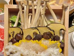 -菌自在·云南野生菌火锅(长安万达店)