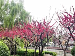 -唐城墙遗址公园