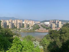 -飞凤山奥体公园