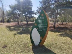 -长春公园(普阳街道)