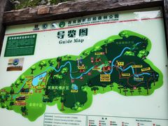 -西双版纳原始森林公园