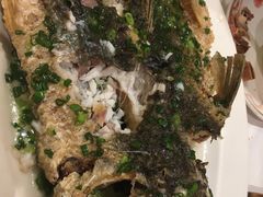 墨溪婉鱼-稻香酒家(天河城店)